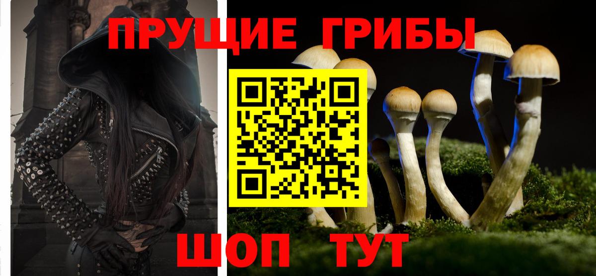 Галлюциногенные грибы GOLDEN TEACHER Рузаевка